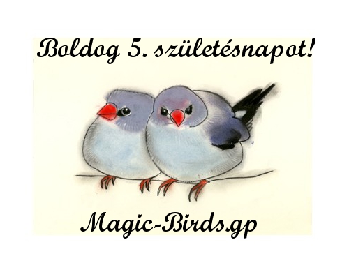 //magic-birds.gportal.hu/portal/magic-birds/image/gallery/1462946210_97.jpg